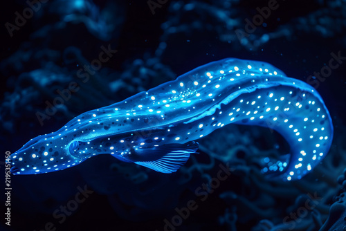 ioluminescent blue deep sea eel with glowing spots swimming in dark ocean water macro photography