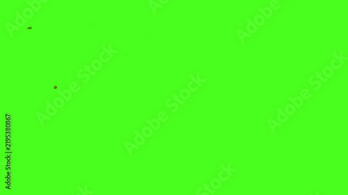 Green Screen Sparkle Fountain and Glowing Particles. Golden sparks and light particles rising in a fountain pattern on green screen for video overlay and effects