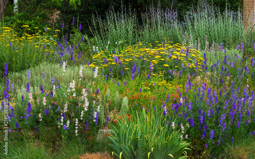 Cuadro en lienzo A close up section of a Xeriscape Garden with a variety of drought tolerant and water wise plants including Larkspur, Orange Carpet, Prickly Pear Cactus, Yarrow varieties and Russian Sage