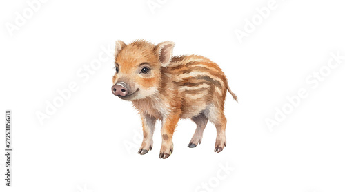 A cute baby wild boar with striped fur stands on a white background, looking curious