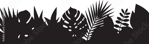 Seamless border element featuring silhouettes of various tropical palm leaves and exotic jungle plants for decorative design projects