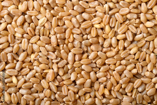 Close-up of whole wheat grain texture background, Food ingredient