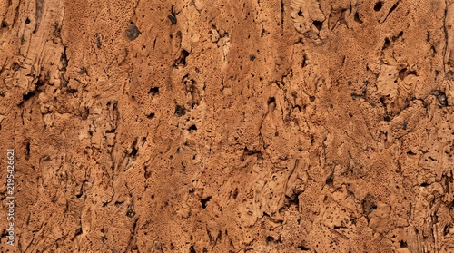Raw cork bark texture displays a detailed porous surface