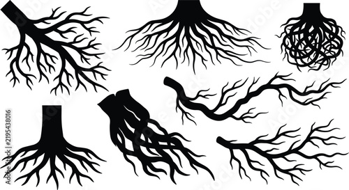 Black Tree Root Silhouette Collection with Organic Underground Roots and Botanical Nature Elements