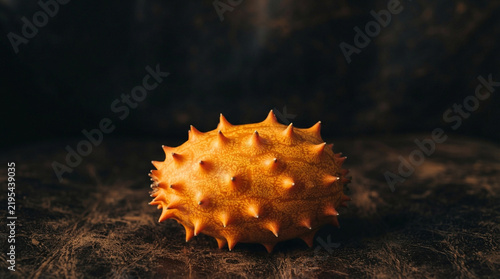 Warm golden hour light skims spiky ridges of horned melon kiwano