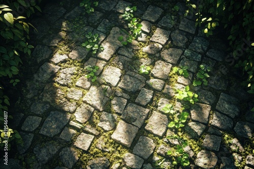 A detailed view of a stone path overgrown with vegetation.