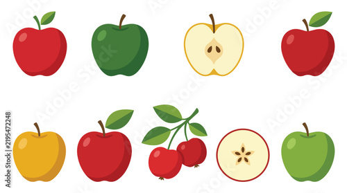 Apple fruit varieties and fresh harvest collection flat vector illustration for healthy eating and grocery branding
