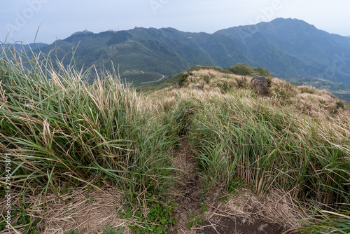 Hiking trail leading to the peak of Mount Qixing, Yangmingshan, Taiwan