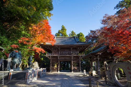 Tapety artystyczne 高尾山薬王院の山門と紅葉