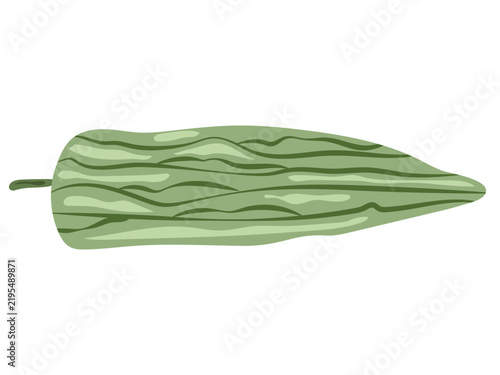 Bitter melon in a cartoon line-art style.