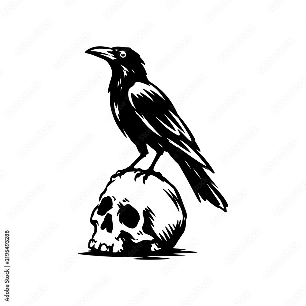 Obraz premium Raven Perched on Human Skull Black and White Vintage Illustration Minimalist Crow and Skull Gothic Tattoo Style Artwork