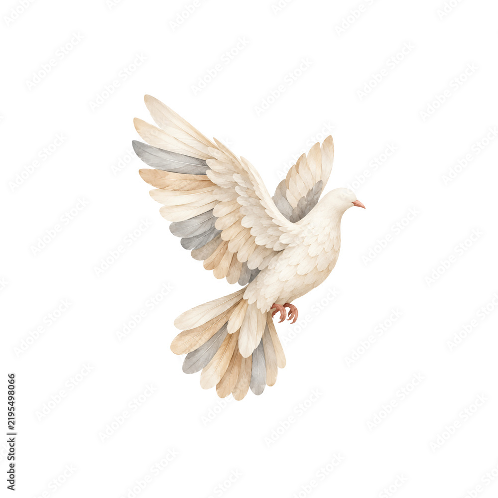 Fototapeta premium Delicate watercolor illustration of a white dove flying with outstretched wings, isolated on a white background.