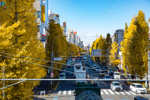 A cityscape of traffic jam at the yellow gingko street in Tokyo