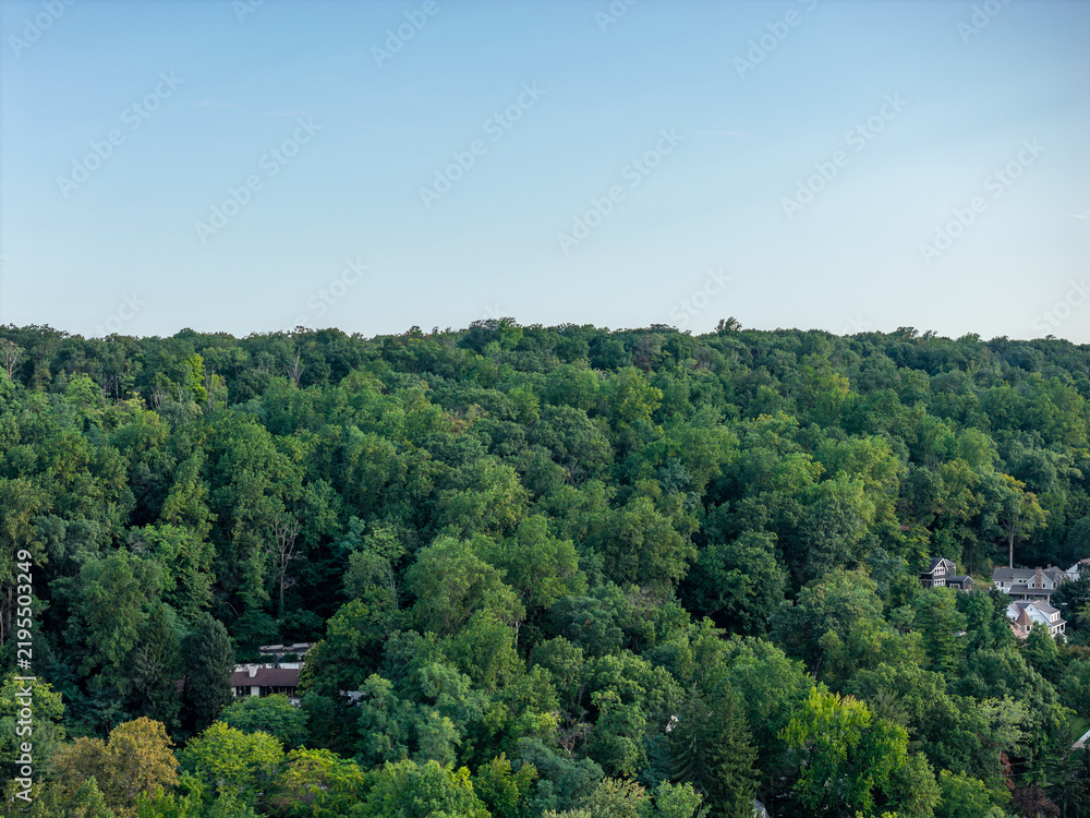 Fototapeta premium Aerial drone view of public school campus, playing fields, and mature trees in Bayberry Park, New Rochelle, New York
