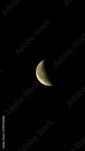 Canvastavla the waning moon