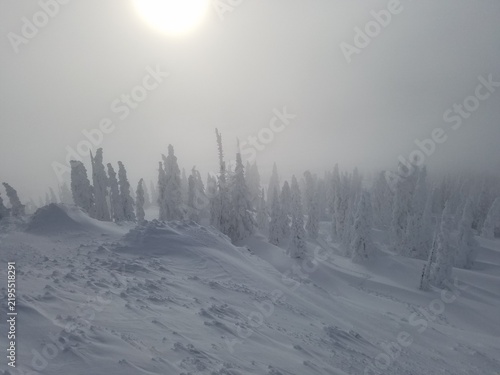 Fotografía Foggy snow ghost hillside with sun