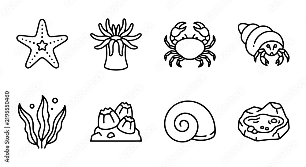 Obraz premium Ocean Life Icons Set, Marine Creatures Vector Collection, Underwater Elements Graphics