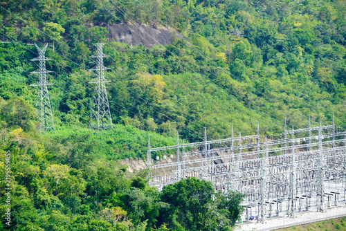 Power Lines and Substation Surrounded by Lush Greenery in Nature