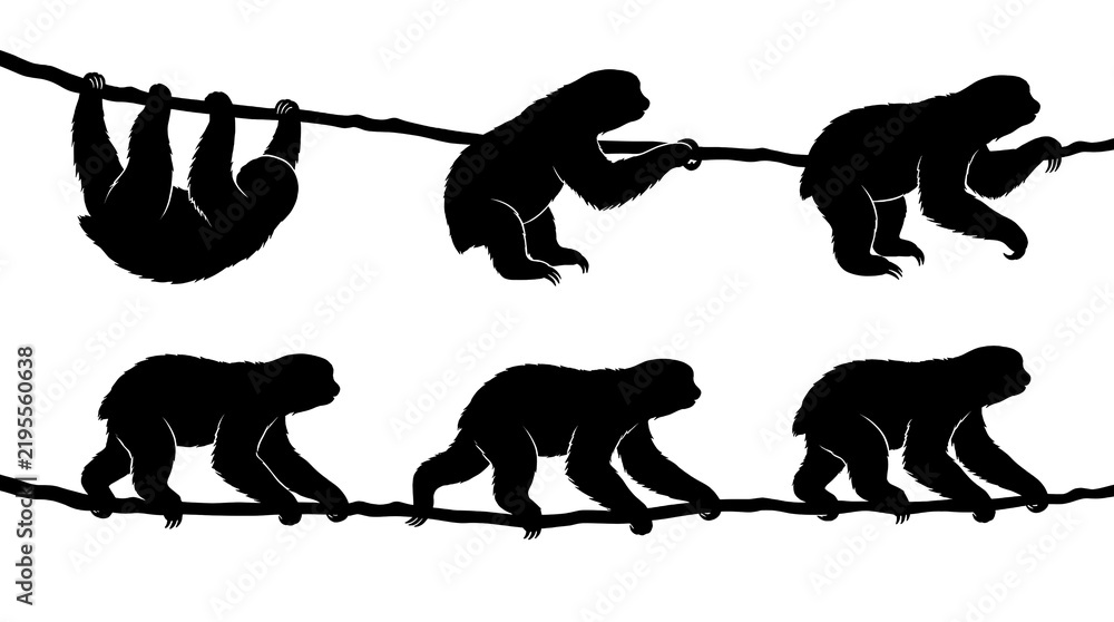 Fototapeta premium Black silhouettes of sloths hanging and climbing on ropes.