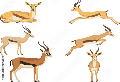 Canvas Print Gazelle and antelope vector illustration set featuring graceful african wildlife