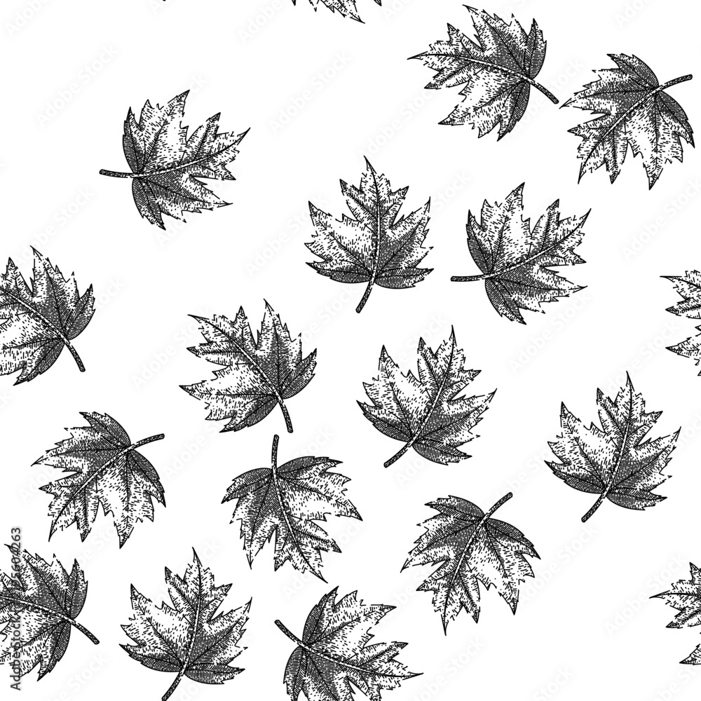 Obraz premium seamless pattern green maple leaf hand drawn. green fall, foliage ground canada maple leaf black sketch illustration