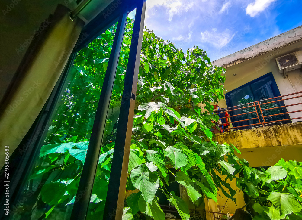 Fototapeta premium Tropical Panorama View From Window Over Patong And Lush Green Nature Phuket Thailand.