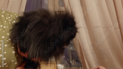 Small black fluffy dog held in arms by person, Angry, yapping, tries to bite hand, looking toward cream colored sheer curtains in home interior, handheld camera with subtle motion