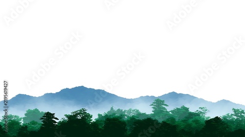 Lush Green Mountain Landscape with Dense Forest and Blue Sky in the Background