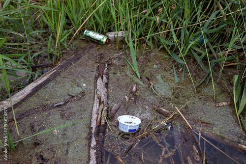 Litter and discarded containers among reeds at the edge of polluted water