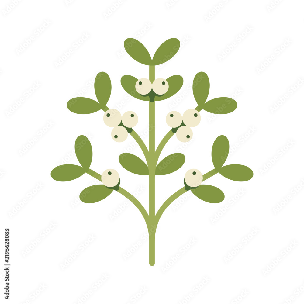 Obraz premium Minimalist vector illustration of a leafy phoradendron branch, american mistletoe isolated on white