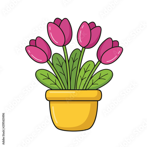 Pink Tulip Bouquet in a Pot with Blooming Spring Flowers and Green Leaves Isolated on White Background