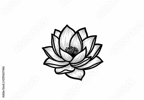 白黒の線画、静寂の蓮