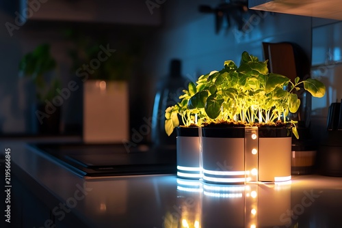 Illuminated Indoor Herb Garden on Kitchen Counter at Night.