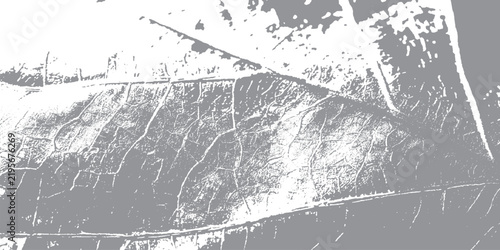 Black and White Leaf Stamp Pattern with Rustic Grunge Botanical Background