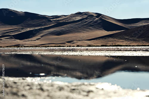 Namib Desert dunes reflected in the still water