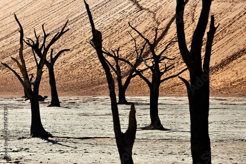 Dry trees in desert crater area at Deadvlei in Sossusvlei