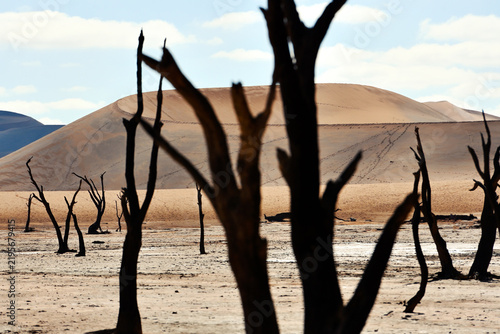 Dry trees in desert crater area at Deadvlei in Sossusvlei