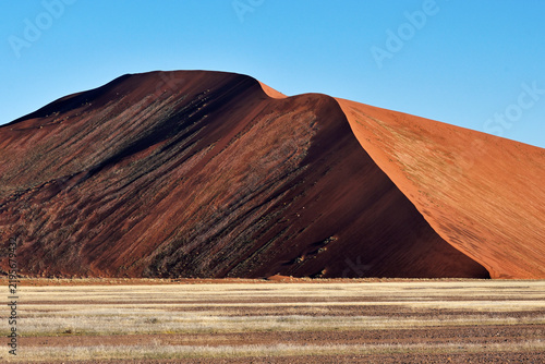 Dune 45 in the Namib Naukluft Desert
