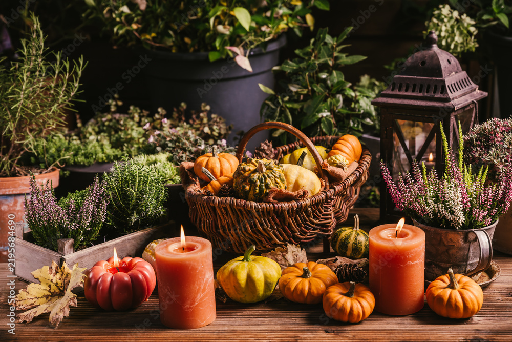 Obraz premium Rustic autumn harvest display with pumpkins and gourds in a wicker basket on patio