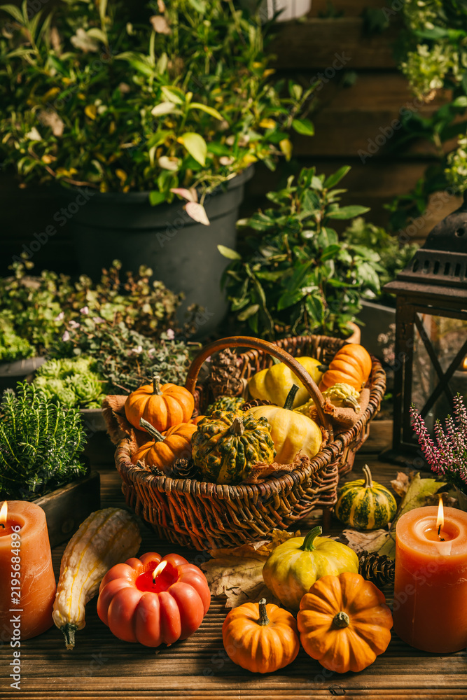 Fototapeta premium Rustic autumn harvest display with pumpkins and gourds in a wicker basket on patio