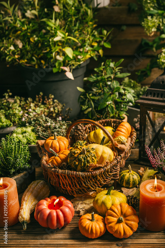 Rustic autumn harvest display with pumpkins and gourds in a wicker basket on patio