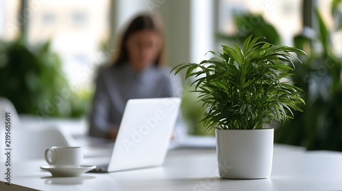A potted plant sits on a white desk beside a laptop and coffee cup  with a person working in the background