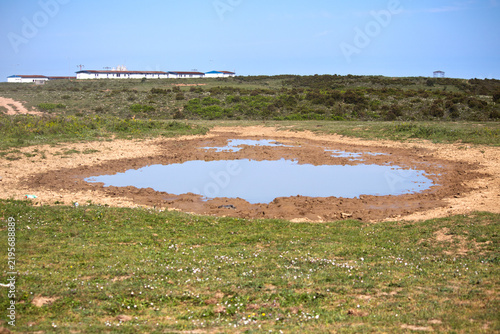 Фотография A lake with receding waters