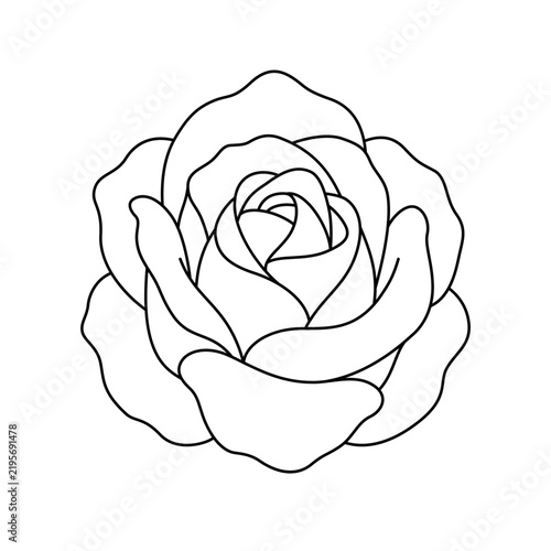 Elegant cupped rose flower head in clean monoline line art