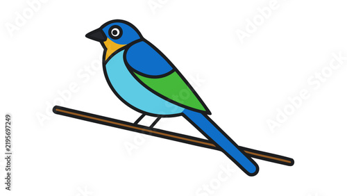 blue tit on white background