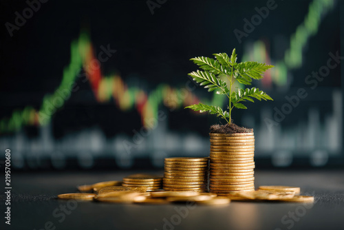 invest concept. Green tree growing on gold coins. Growing power of compound interest. Prosperous stock investment. Savings. Financial graph showing inflation. stock market chart growth investment. 