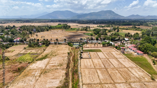 Dry rice fields and a bridge over a river in a rural landscape during the day