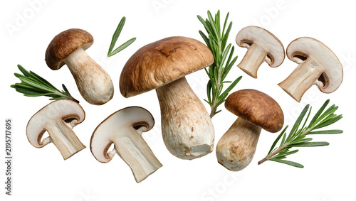 Fresh porcini mushrooms and sliced cremini mushrooms with rosemary sprigs, isolated on transparent background