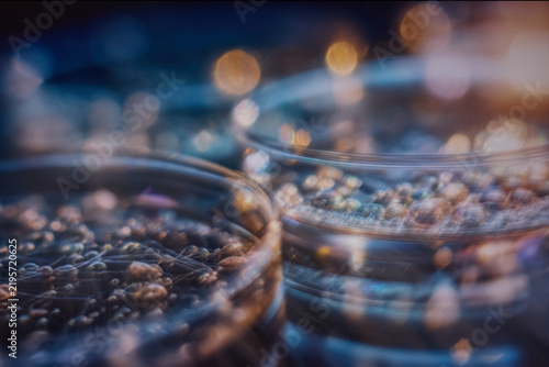 Fotografie Abstract Cell Culture in Petri Dishes for Biomedical Research