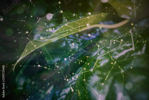 Blurred abstract greentech network on green leaves with glowing digital connections